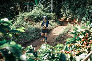 BIB: 
                            <button type="button" onclick="openModal(25856955)" class="btn btn-primary btn-sm float-right btn-popup" data-toggle="modal" data-target=".modal-high-quality">
                        <i class="fas fa-shopping-cart"></i> Add to Cart
                    </button>
                                            <button type="button" onclick="isThisMe(25856955, true)" class="btn btn-success btn-sm float-right btn-popup btn-isme hidden" data-toggle="tooltip" data-placement="bottom" title="นี่คือรูปของคุณใช่ไหม คลิกที่นี่เพื่อเอาเข้าอัลบั้ม">
                        <i class="fas fa-plus"></i> Add to album
                    </button>
                    <button type="button" onclick="isThisMe(25856955, false)" class="btn btn-warning btn-sm float-right btn-popup btn-isnotme hidden">
                        <i class="fas fa-ban"></i> Remove from album
                    </button>